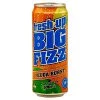 The Original Lolly Store Drinks, Snacks & Grocery Feijoa Burst Big Fizz Drink 500ml