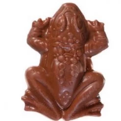 The Original Lolly Store Harry Potter Chocolate Frog HALLOWEEN