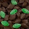 The Original Lolly Store Chocolates Dark Chocolate Spearmint Jelly Leaves