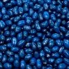 The Original Lolly Store Blueberry Jelly Belly